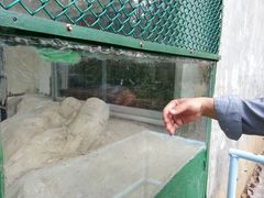 -广东茂名森林公园