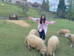 -神户市立六甲山牧场