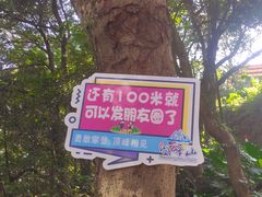 -广州市帽峰山景区