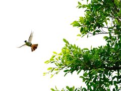 -白沙门生态公园