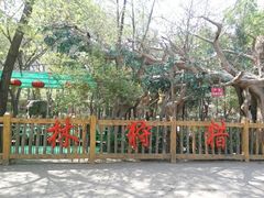 迎泽公园-迎泽公园