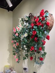 -变美丽半永久纹眉连锁·机器野生眉•洗眉