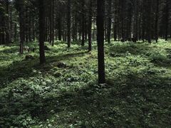 -硗碛藏寨·神木垒景区