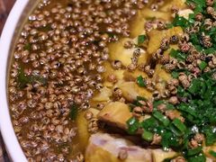藤椒白切鸡-老板恋上鱼(荣盛广场店)