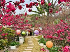 -桃源山庄·水蜜桃采摘·柴火鸡·烧烤团建(龙泉山店)