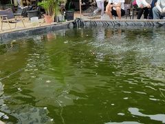 -DGE季风钓虾营地·团建·聚会
