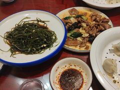 -邵年鸽(杨庄店)