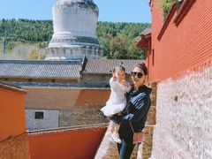 -五台山风景名胜区-罗睺寺