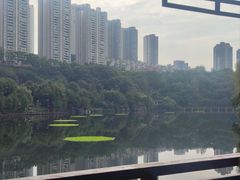 -重庆彩云湖湿地公园