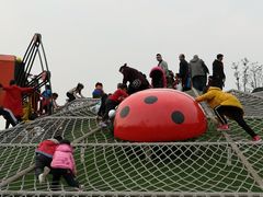 -枫香湖儿童公园