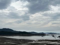 -北岐滩涂