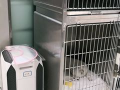 -申普宠物医院·心脏介入·心血管微创(总院)