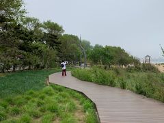 -海滨浴场