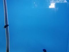 -北戴河圣蓝海洋公园