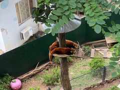 -大连森林动物园