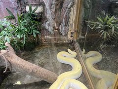 -上海大自然野生昆虫馆