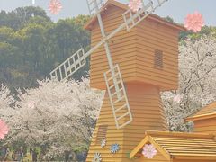 -苏州上方山国家森林公园