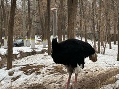 -北京野生动物园