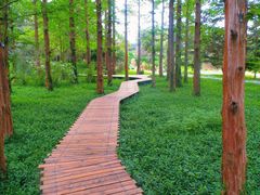 -国家植物园南园