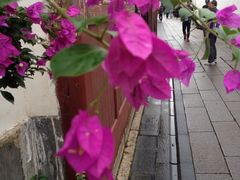 街边小花-聚春园自助餐厅(东街口店)