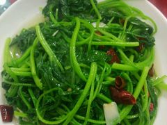 -乡土特色.冷锅鱼.牦牛肉汤锅