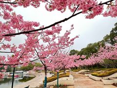 -新江湾城公园