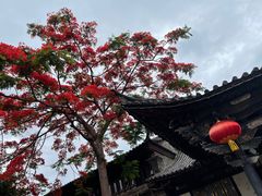 -朱家花园