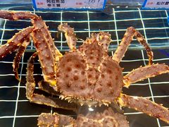 -田园肥牛鲍鱼先生(新北店)