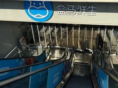 -盒马鲜生(双清路店)