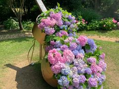 -上海共青森林公园