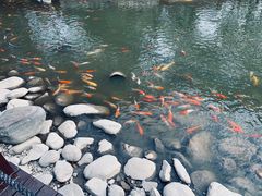 -万佛湖风景区