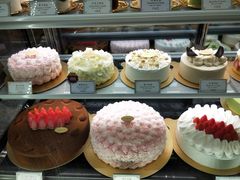 -布歌东京(常州购物中心店)