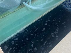 -老四川平头酸菜鱼(衙前店)