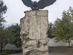 -北京鹫峰国家森林公园
