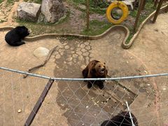 -无锡动物园·太湖欢乐园