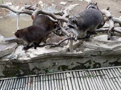-宁波野生动物园