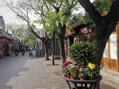 -南锣鼓巷