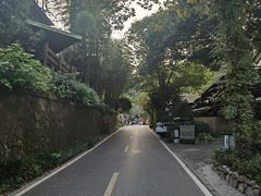 -龙井村