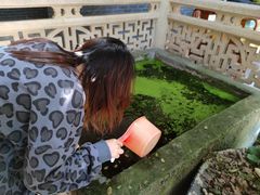 -吴祥记潮州菜·百年老字号·砂锅粥