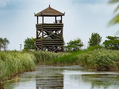 -盐城丹顶鹤湿地生态旅游区