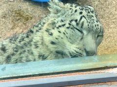 -青藏高原野生动物园