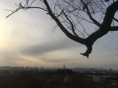 景点-景山公园