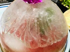 冰川鹅肠-蜀大侠火锅(建设路第五大道店)