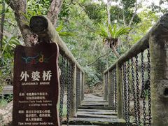 -呀诺达热带雨林