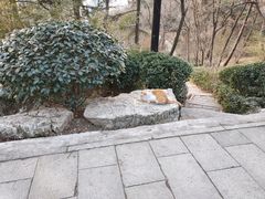 -贮水山儿童公园