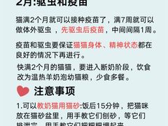 -艾贝尔宠物医院·24H转诊中心·肿瘤猫专科(江宁双龙店)
