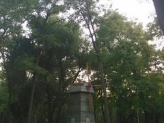 iphone_upload_pic-迎泽公园