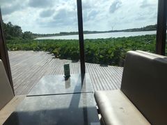 -东滩湿地公园观海楼餐厅
