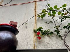-南山植物园