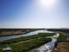 -春花秋色城市公园